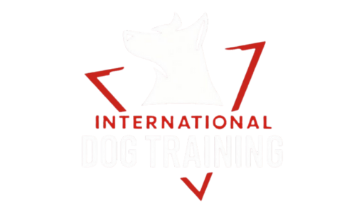 Logo 512x512 (512 x 300 px)