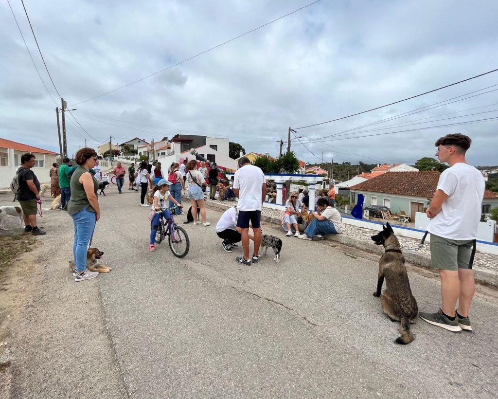 Imagem WhatsApp 2023-07-15 às 21.33.55