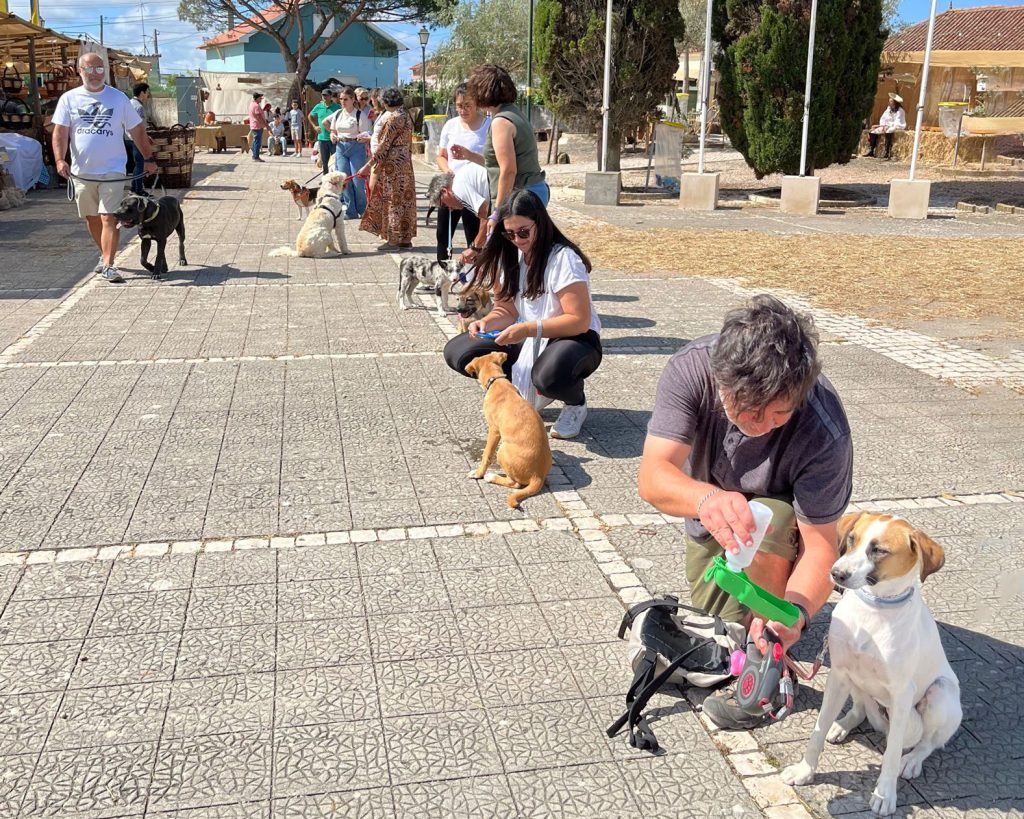 Imagem WhatsApp 2023-07-15 às 21.33.57l