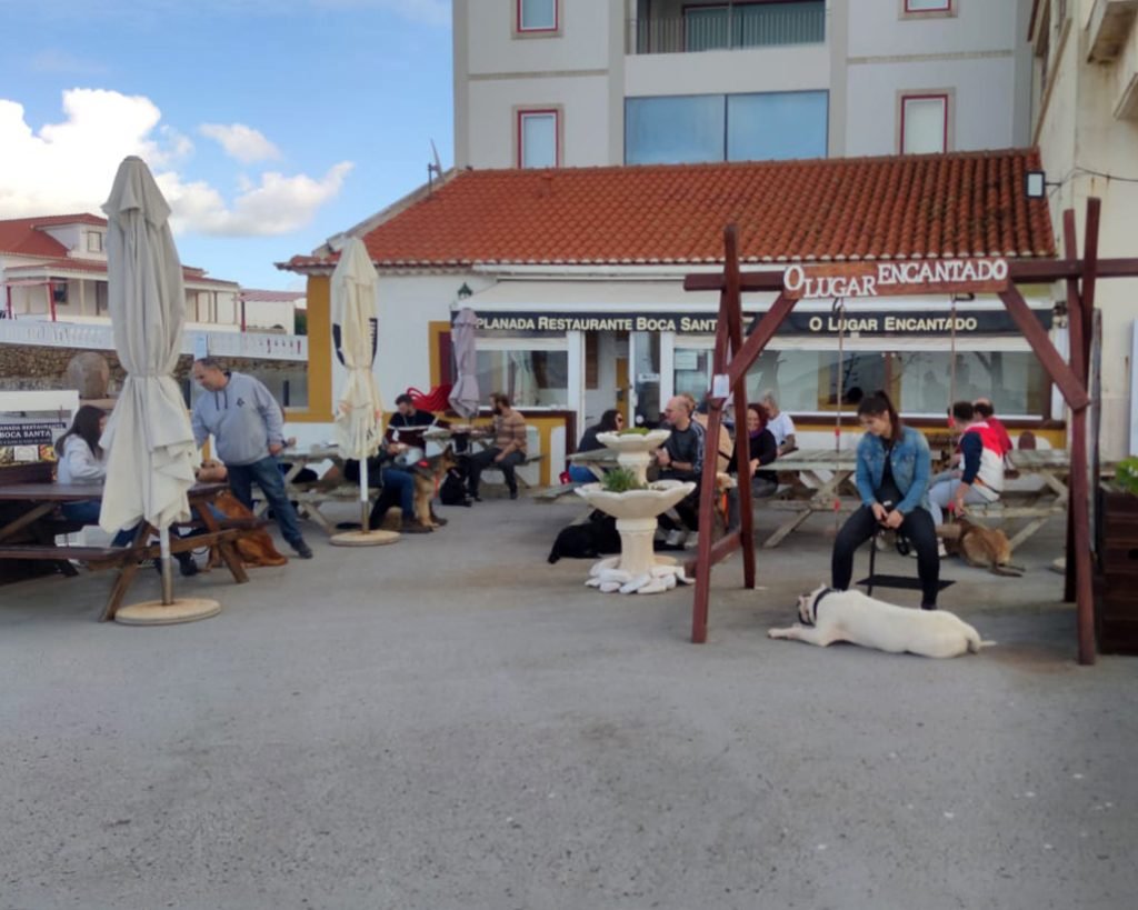 WhatsApp Image 2023-01-16 at 11.59.54