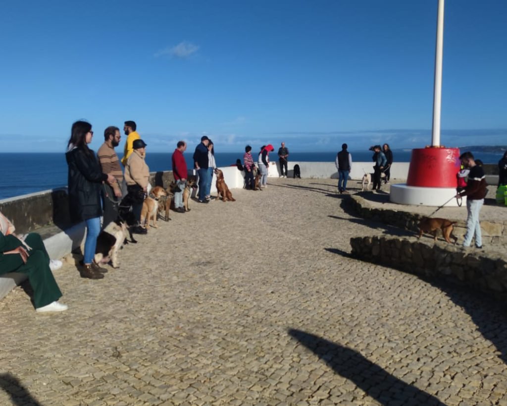 WhatsApp Image 2023-01-16 at 12.00.00