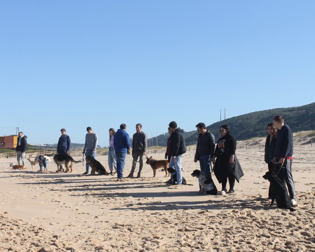 WhatsApp Image 2023-02-04 at 21.44.26