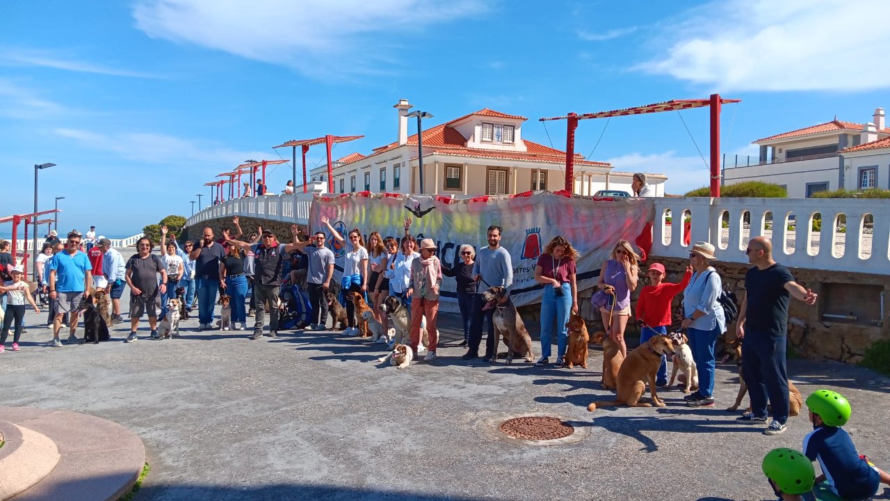 Como Socializar o Seu Cão: A Chave para um Comportamento Saudável