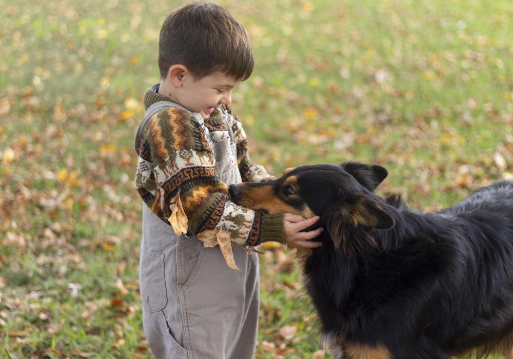 O Seu Cão Tem uma Atitude Agressiva Sempre que Vê uma Criança: Como Corrigir Este Comportamento