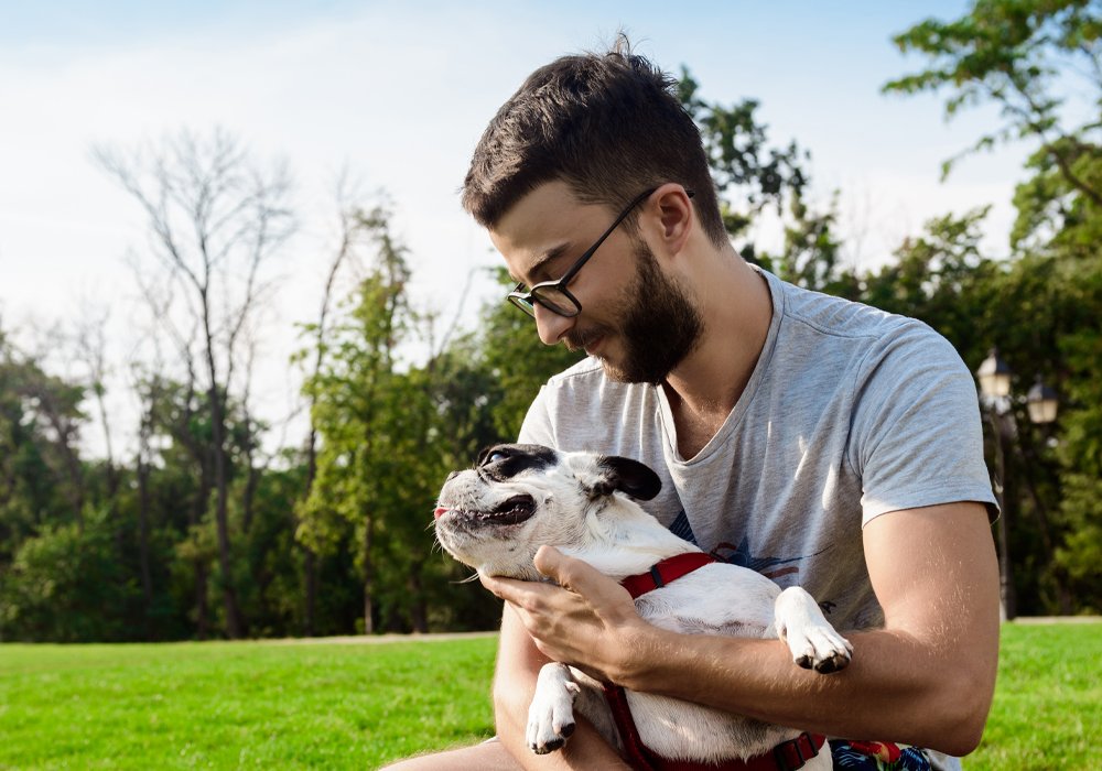 O Seu Cão Só Obedece na Presença do Seu Marido? Saiba Como Corrigir Esse Comportamento