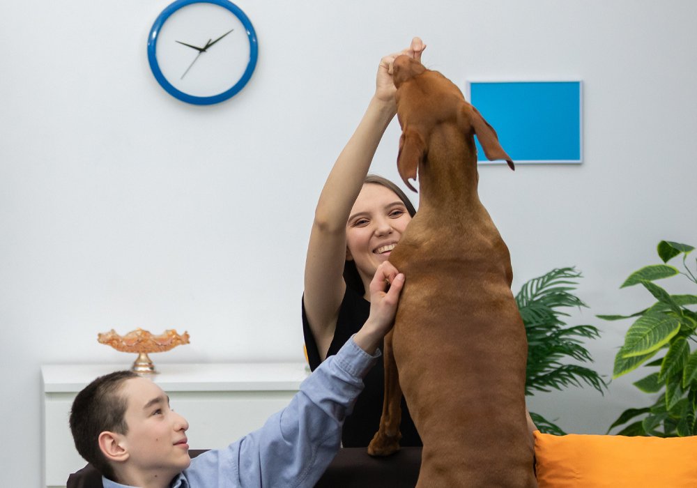 O Seu Cão Salta Muito Quando Chega a Casa ou Recebe Visitas? Saiba Como Corrigir Este Comportamento