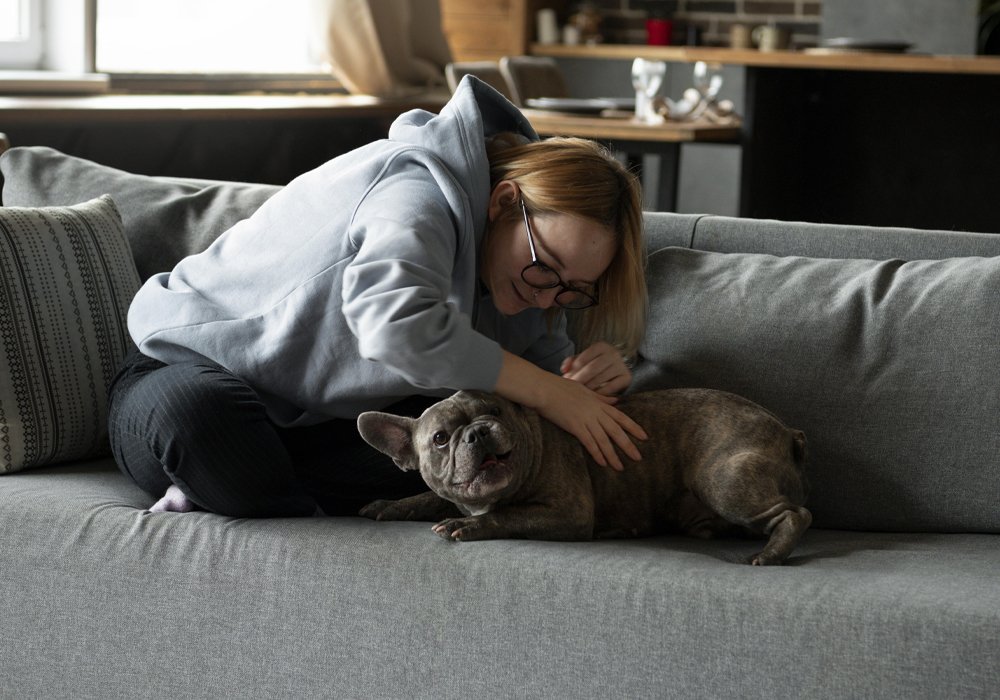 Os Medos e as Suas Repercussões na Vida Equilibrada do Seu Cão