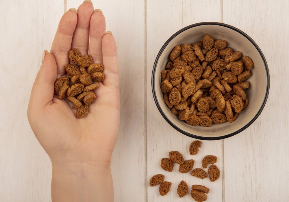 O Seu Cão Enjoa da Ração? Descubra Como Estimular o Apetite do Seu Companheiro