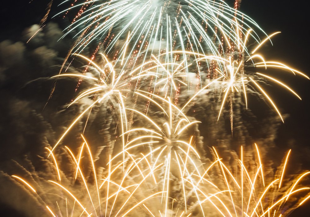 O Seu Cão Tem Medo de Foguetes e Trovoadas? Saiba Como Ajudá-lo a Superar Esse Medo